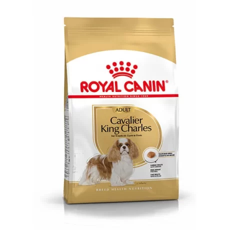 Royal Canin Cavalier King Charles Özel Yetişkin Kuru Köpek Maması